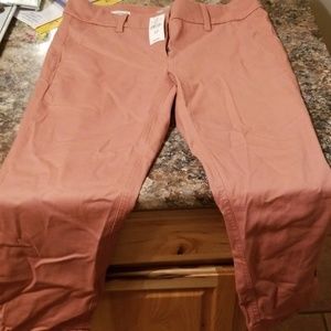 Loft Outlet Salmon Chino Pants
